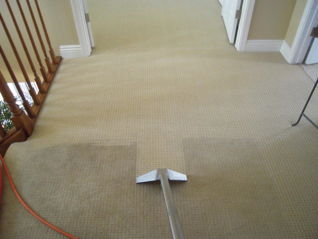 Carpet Steam Cleaning Sydney