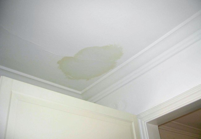spot on carpet services