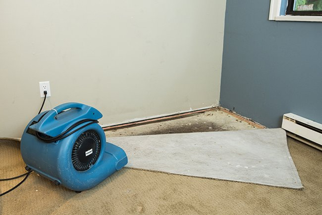 CARPET AND UNDERLAY DRYING SYDNEY