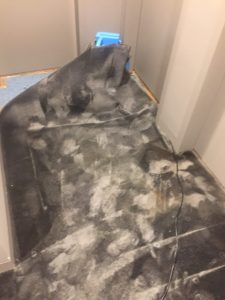Flood Damage Carpet Cleaning Sydney